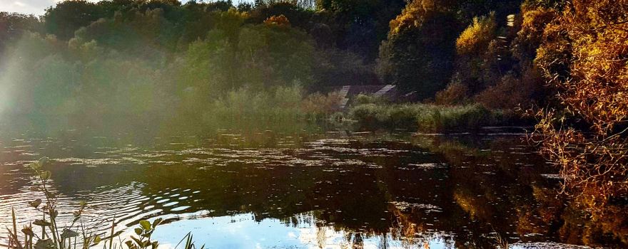 Telford Town Park