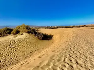 Reserva Natural Especial de Las Dunas de Maspalomas