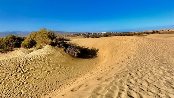Reserva Natural Especial de Las Dunas de Maspalomas