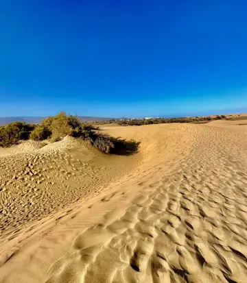 Maspalomas