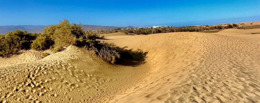 Naturschutzgebiet Dünen von Maspalomas