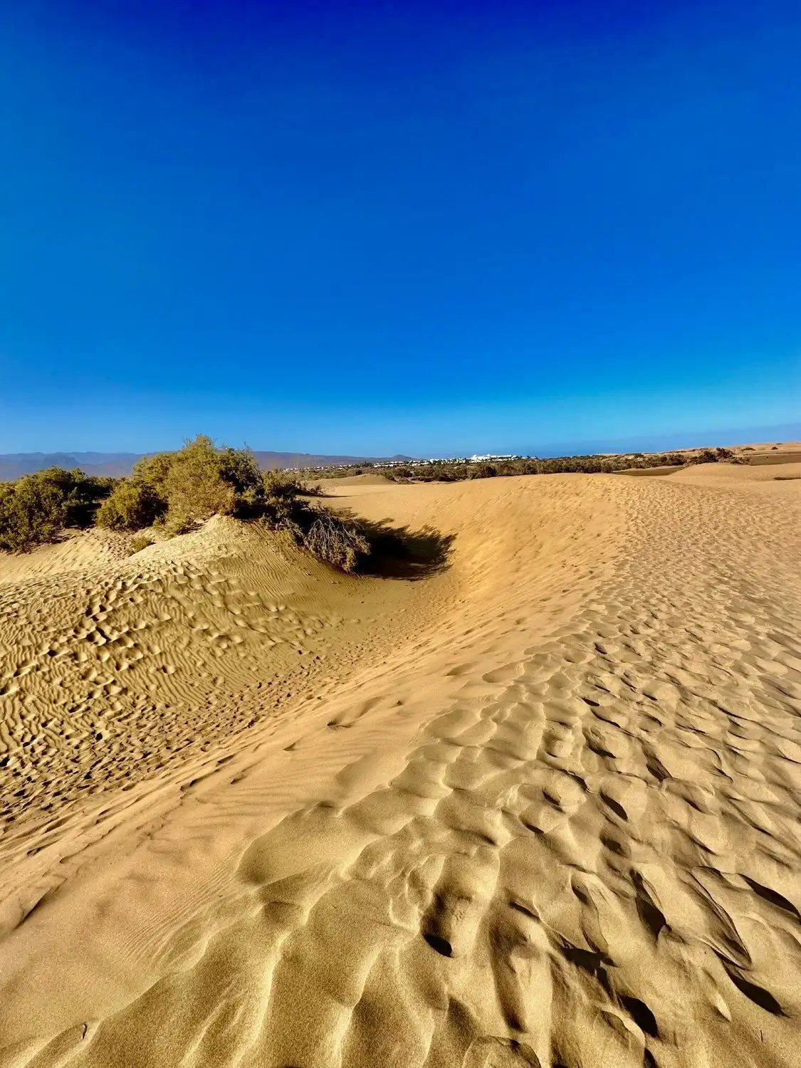 Hotels in der Nähe von Naturschutzgebiet Dünen von Maspalomas