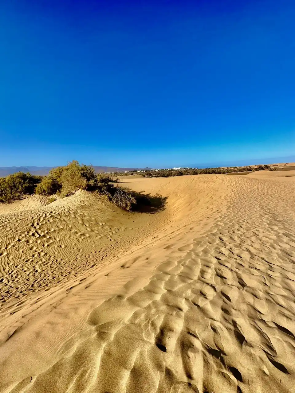 2_The Dunes of Maspalomas