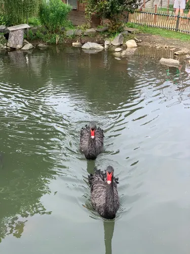 リポヴァー＝ラーズネ