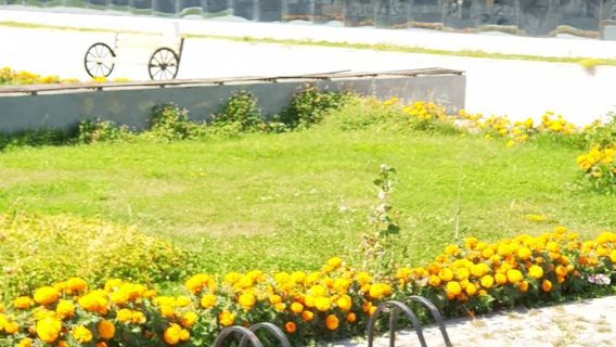 Van Archeology and Ethnography Museum