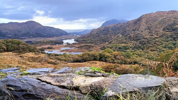 Ladies' View Gift Store Cafe Bar & Roof Terrace