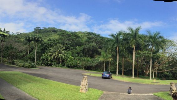 Kahaluu
