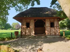 Arche Warder - Zentrum für seltene Nutztierrassen