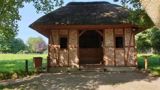 Arche Warder - Zentrum für seltene Nutztierrassen