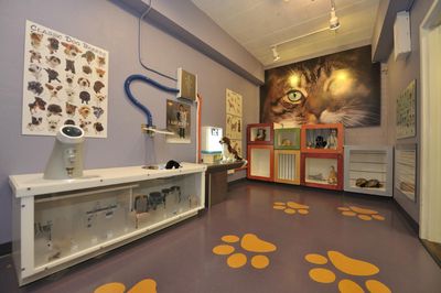 Children's Museum Tucson