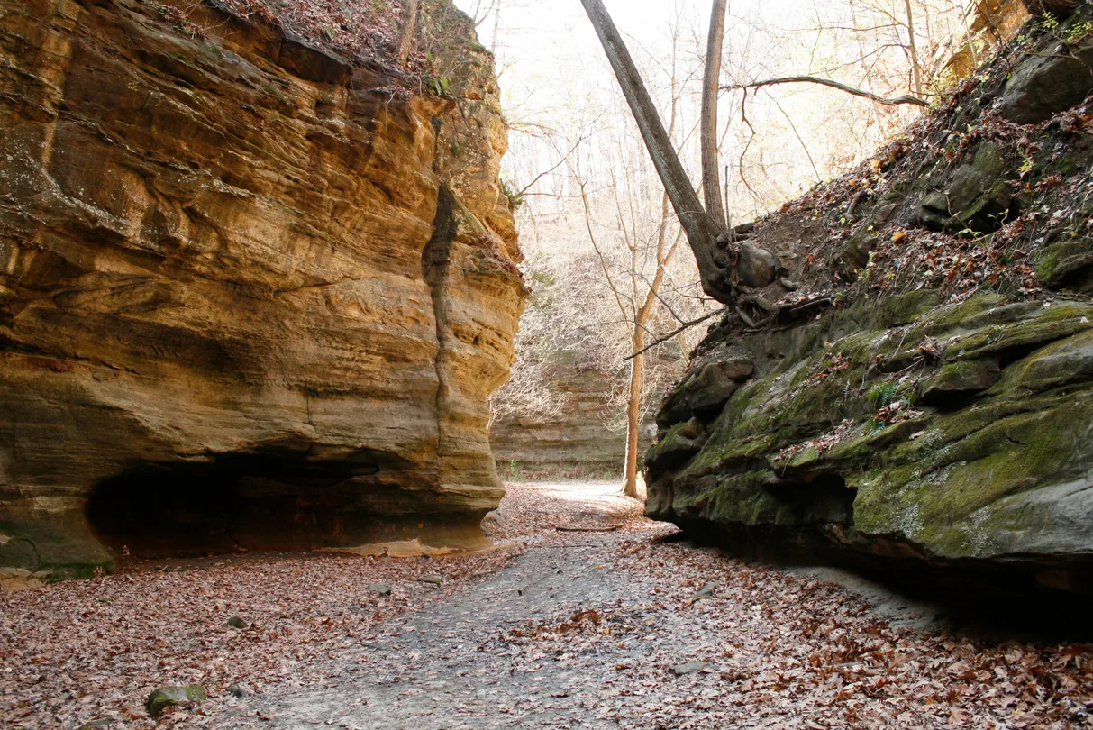 5_Matthiessen State Park