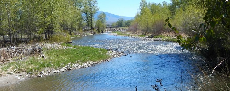 Lemhi County