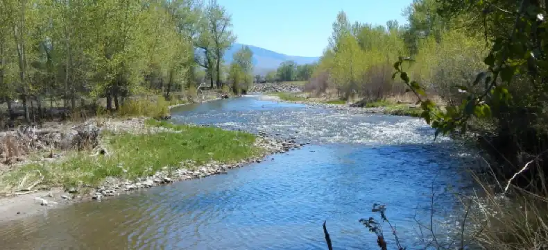 Hotels in Lemhi County