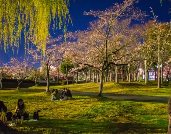 郡山市 自由行套票