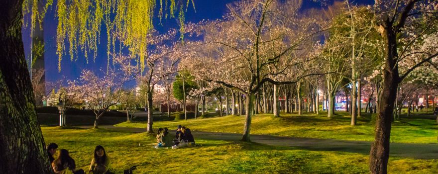Kaiseiyama Park