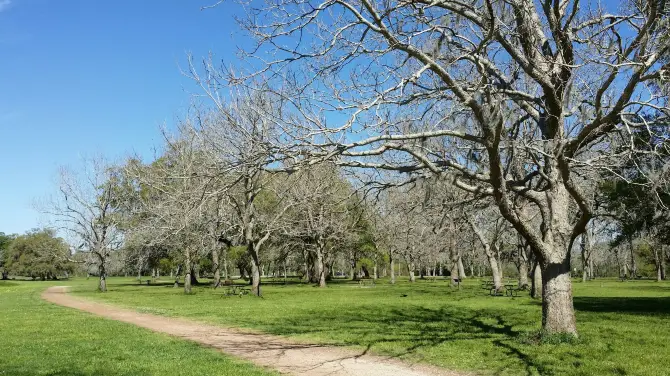 2_Brazos Bend State Park