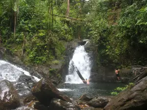 Mulu Caves