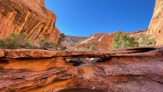 Moab