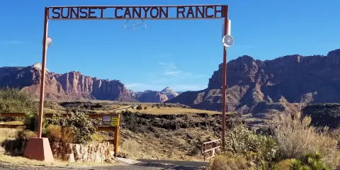 David J West Gallery