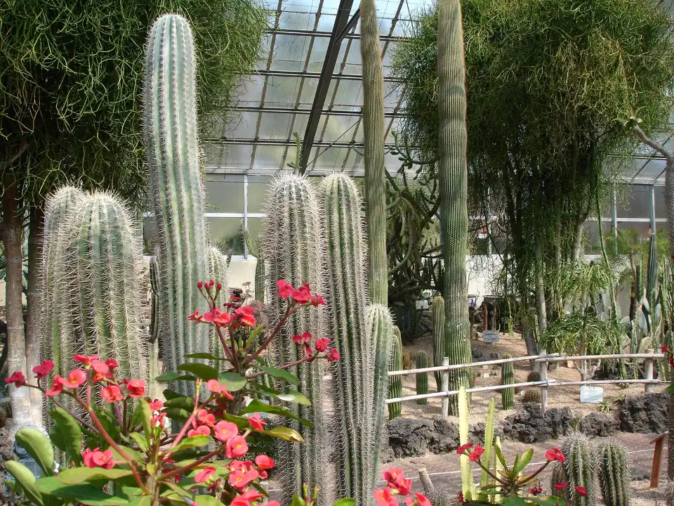 5_Hallim Park