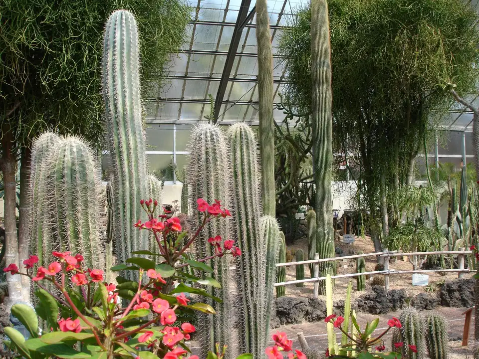 5_Hallim Park