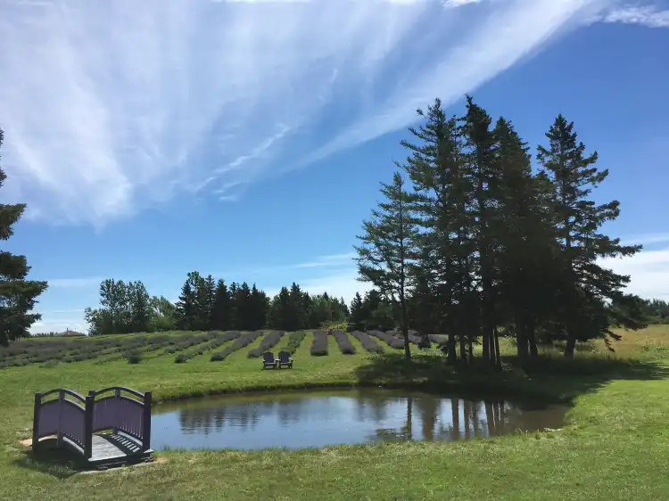 Hôtels à : Pictou, Subd. A
