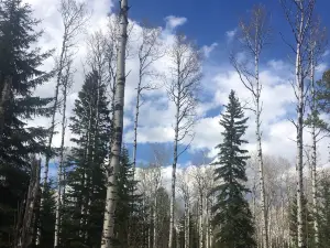 parc provincial Crimson Lake