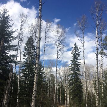 Crimson Lake Provincial Park