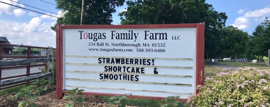 Tougas Family Farm