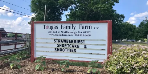 圖加斯家庭農場