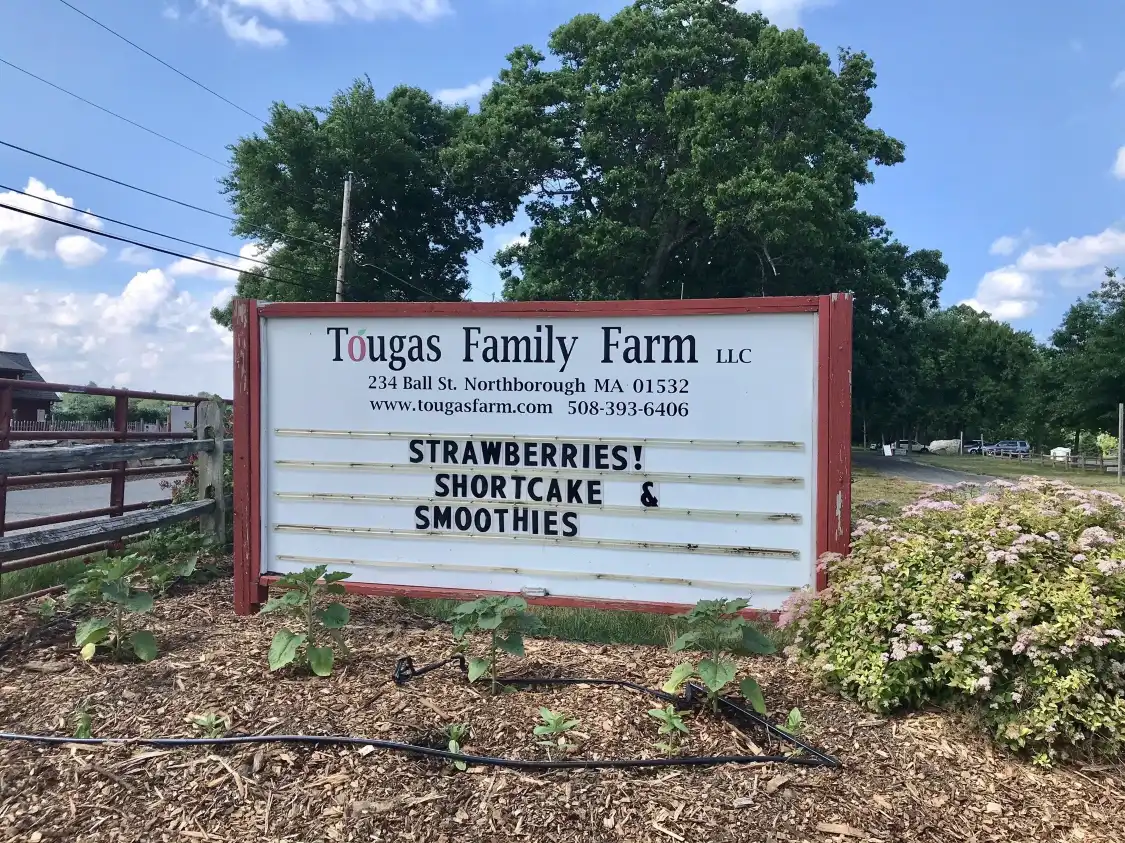 圖加斯家庭農場附近的飯店