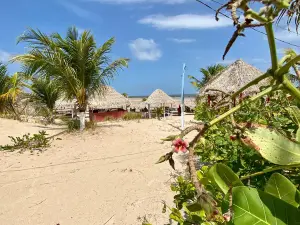 Praia do Pesqueiro