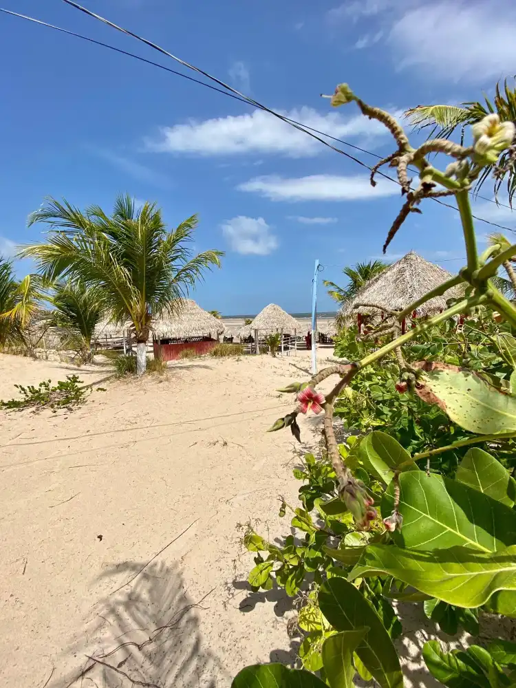 Hostels in Para, Brazil