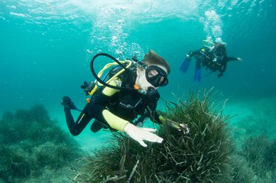 DIVING MENORCA - Playas de Fornells