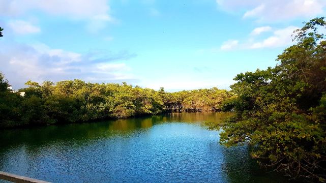 Laguna las Ninfas