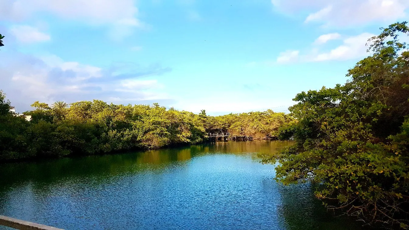 Laguna las Ninfas