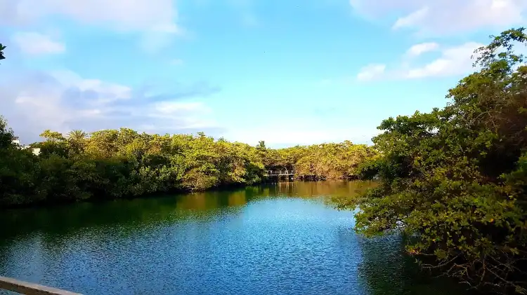 鄰近Laguna las Ninfas的酒店