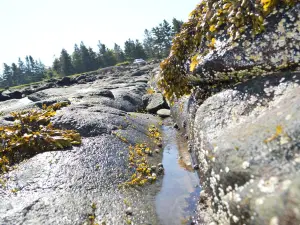 Cottage Cove Provincial Park