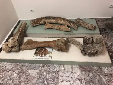 Pomorie Museum of History