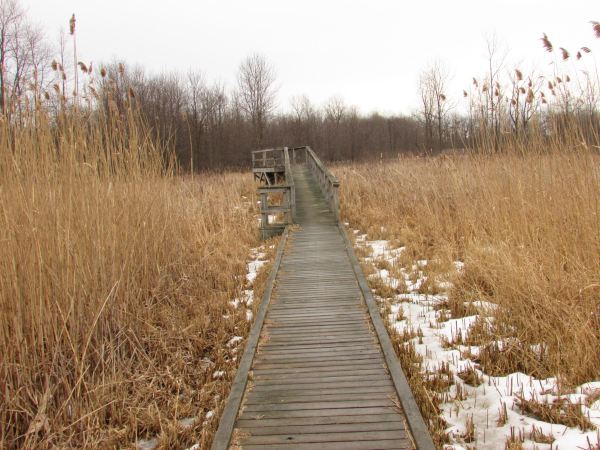 Tillman Road Wildlife Management Area