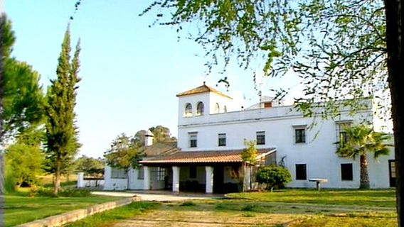 Les Visites du Campo Bravo