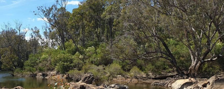 Lane Poole Reserve