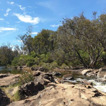Lane Poole Reserve