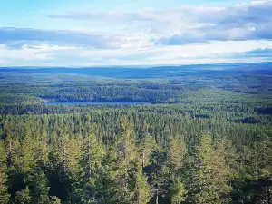 Nävernäsan