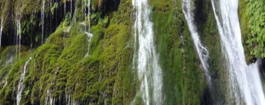 กอร์กัน