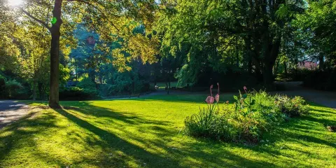 Jardin of the Rhônelle