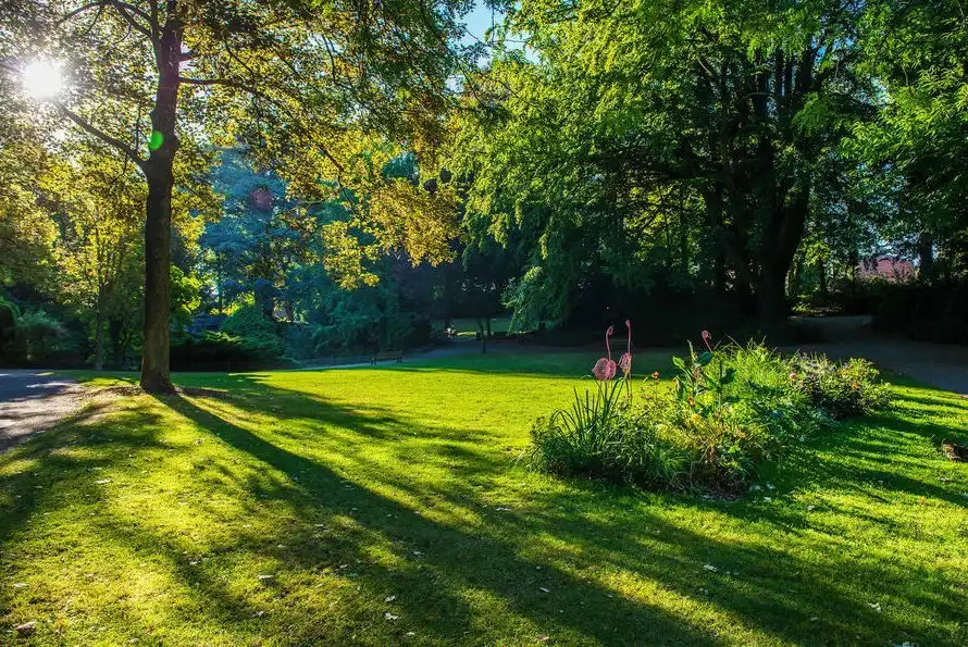 Hotels near Jardin of the Rhônelle