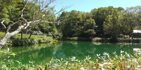 牛池