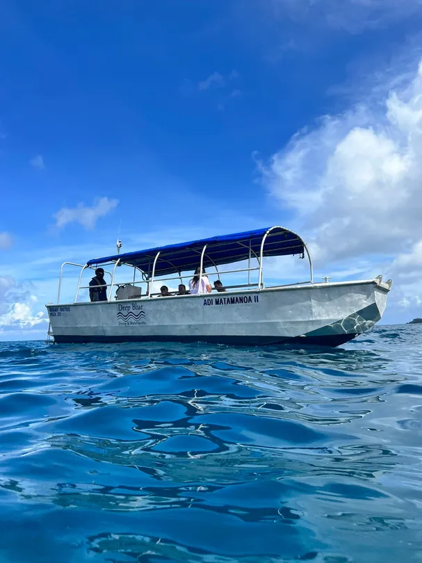 2_PURPLE TURTLE DIVE FIJI (Formerly Deep Blue Diving)
