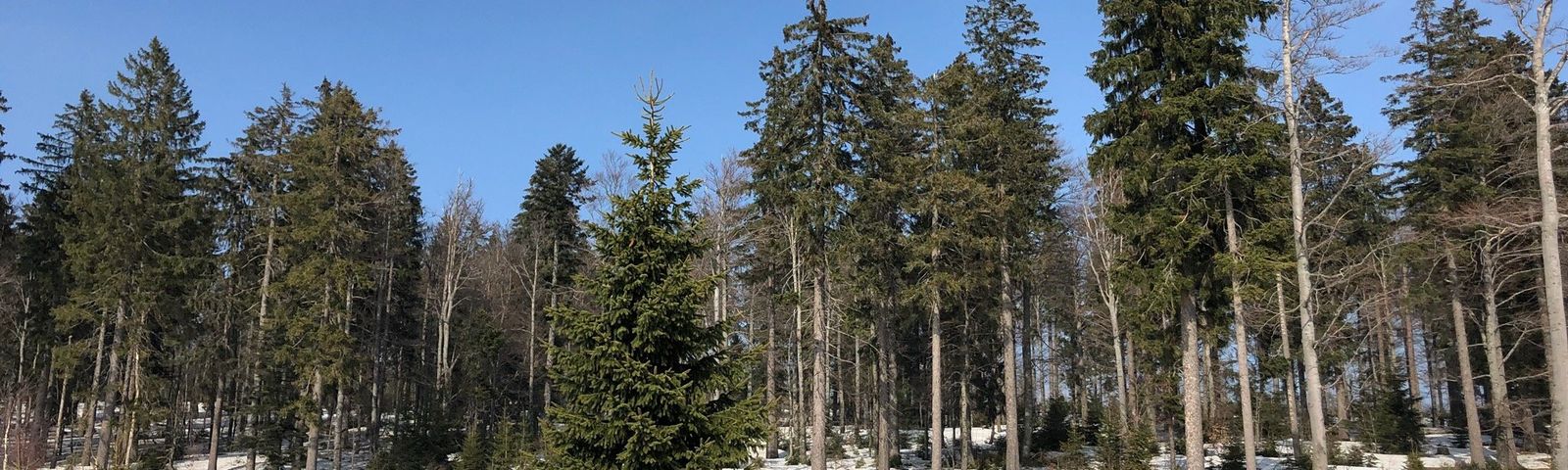 NiederbayernTagestouren